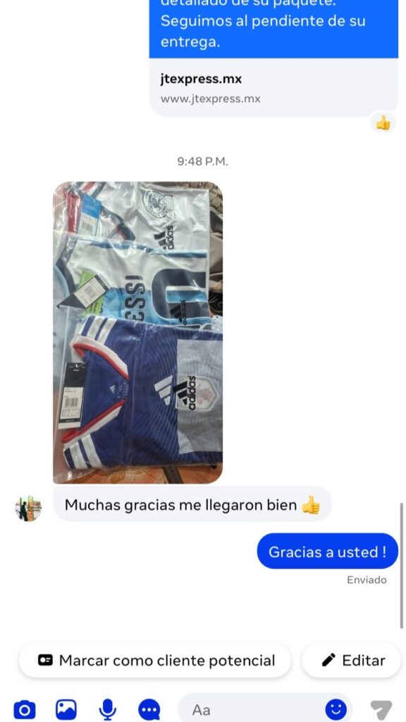 Referencia 19