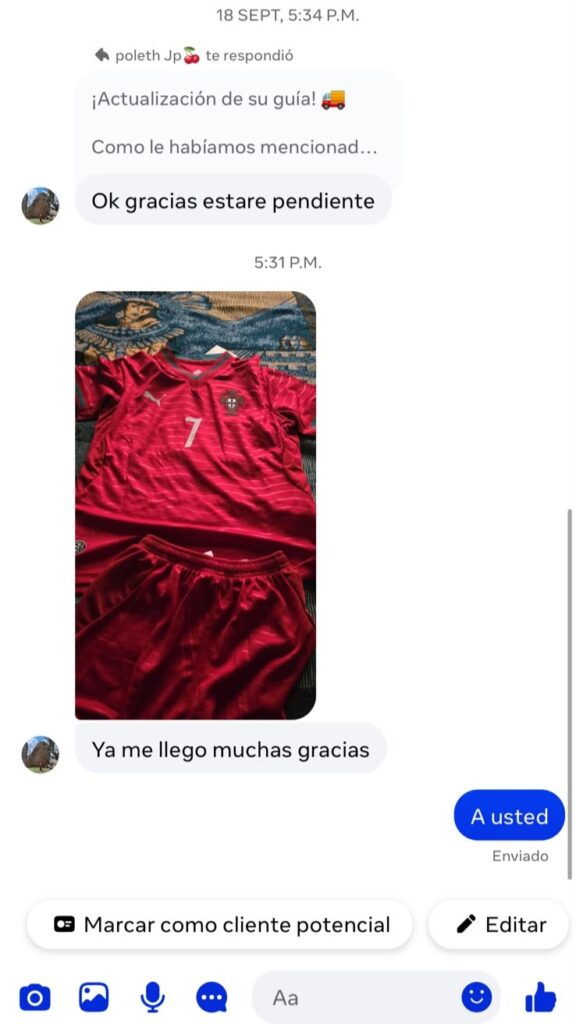 Referencia 6