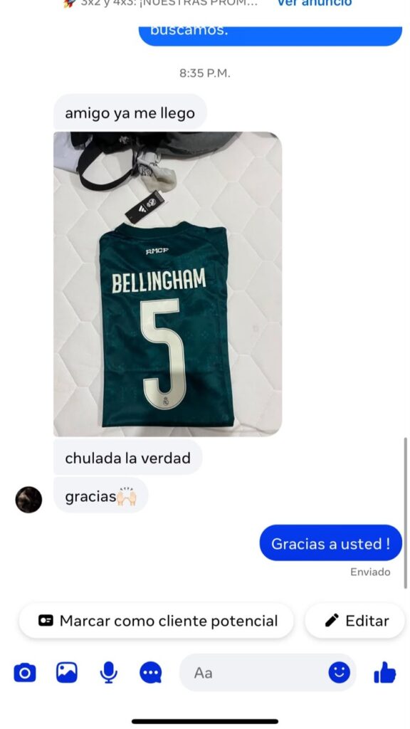 Referencia 7